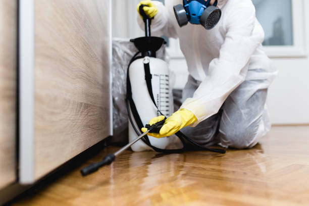 Best Pest Removal Services  in Marmet, WV