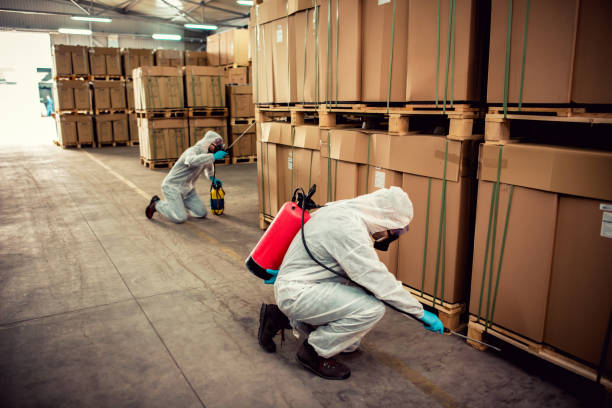 Best Best Pest Control Companies  in Marmet, WV
