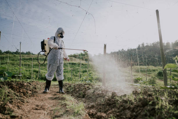 Best Pest Prevention Services  in Marmet, WV