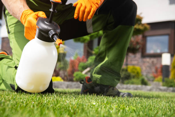 Best Exterminator Services  in Marmet, WV
