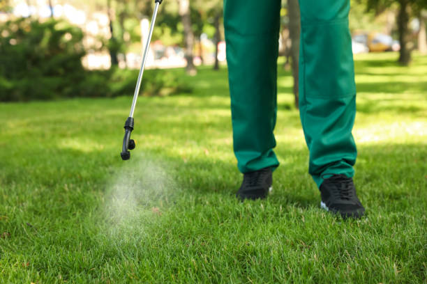 Best Pest Prevention Services  in Marmet, WV
