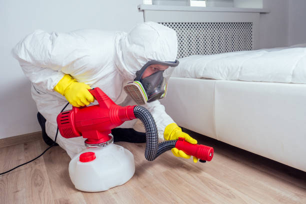 Pest Prevention Services in Marmet, WV