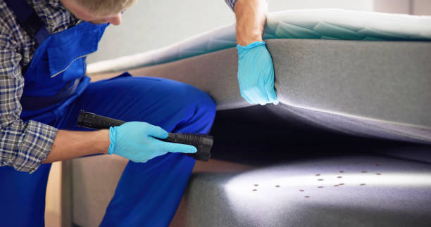 Best Pest Prevention Services  in Marmet, WV