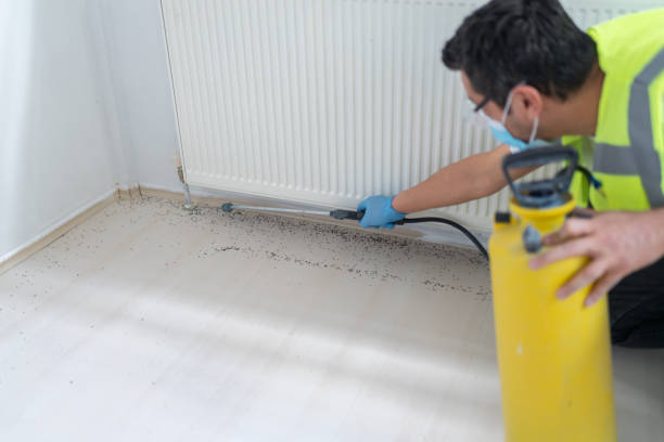 Pest Control for Restaurants in Marmet, WV